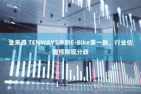 金来源 TENWAYS冲刺E-Bike第一股,行业估值预期现分歧