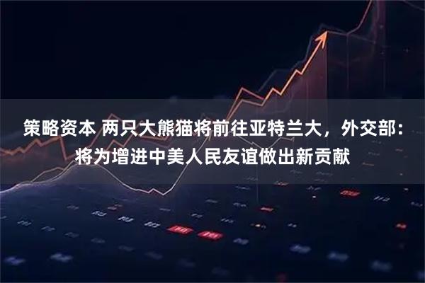 策略资本 两只大熊猫将前往亚特兰大，外交部：将为增进中美人民友谊做出新贡献