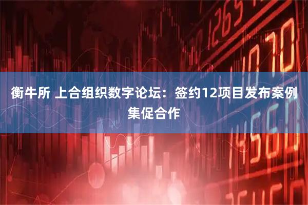 衡牛所 上合组织数字论坛：签约12项目发布案例集促合作