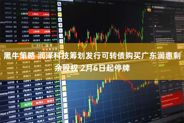 黑牛策略 润泽科技筹划发行可转债购买广东润惠剩余股权 2月6日起停牌