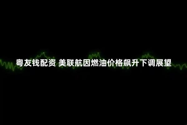 粤友钱配资 美联航因燃油价格飙升下调展望